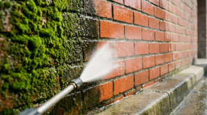 High pressure water jet cleaning moss and grime off red brick wa